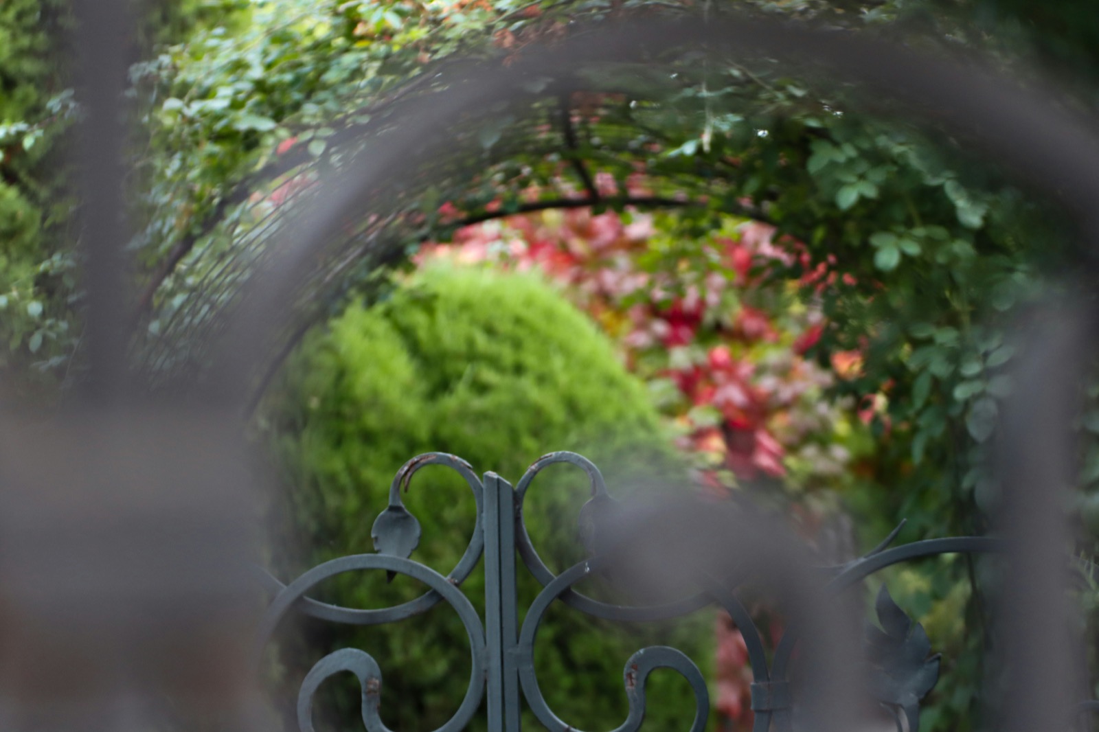Becoming the Front Door
